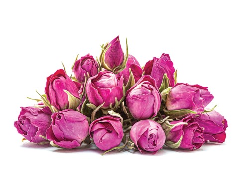 تصویر 3 از فروش گل محمدی لاله زار کرمان + قیمت خرید به صرفه